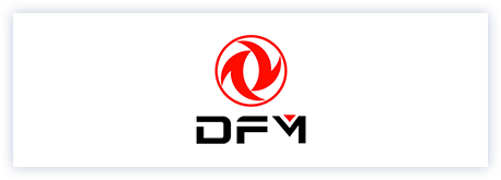 Motore Dongfeng